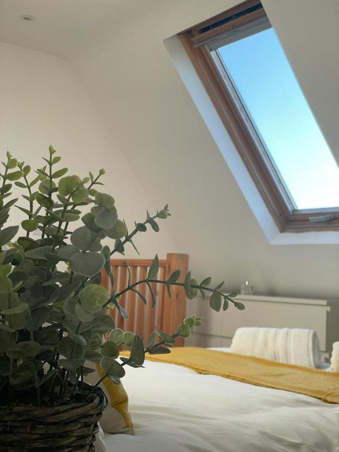 Tanya'S Flat-Lovely 1 Bed In The Heart Of Central 伦敦 外观 照片